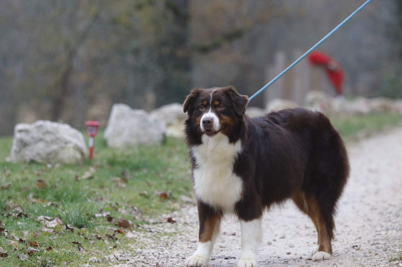 Spicy pepper Des Canailles De La Bergerie